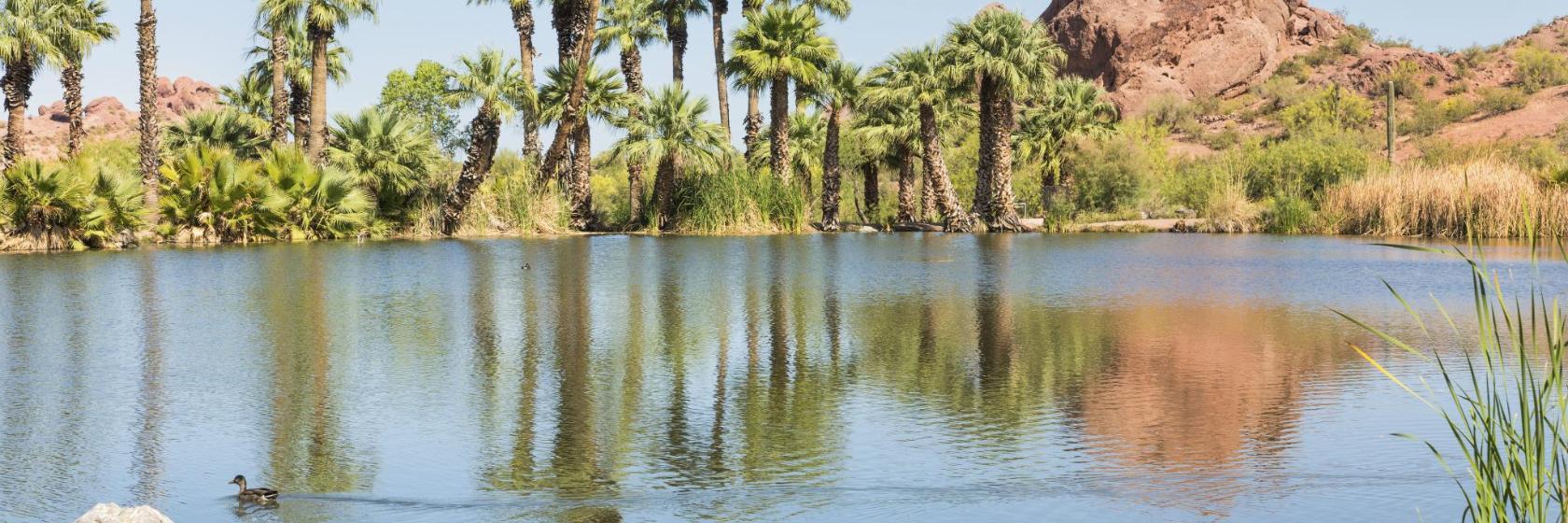 Papago Park